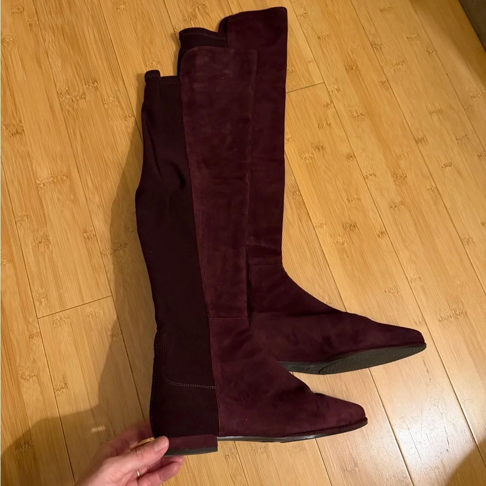 Stuart Weitzman Gams Suede Over the Knee Boots